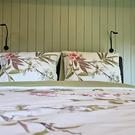 Bed & Breakfast Pleisterplaats Schoeppert *