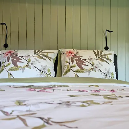 Bed & Breakfast Pleisterplaats Schoeppert 3*